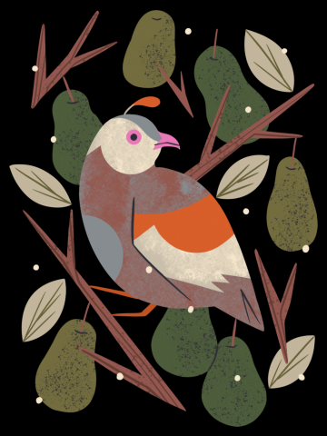Partridge in a Pear Tree