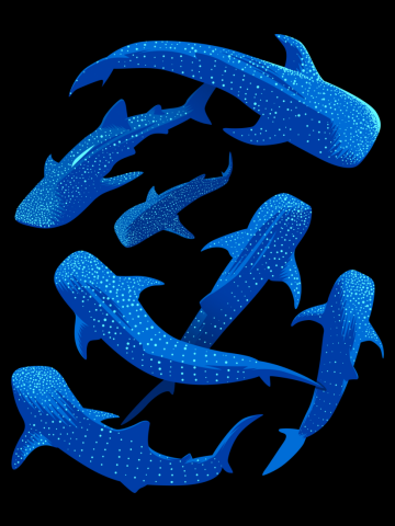 Pattern Shark Whale