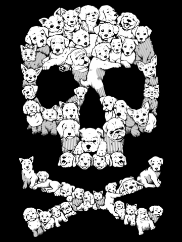 Pawsitively Bitchin