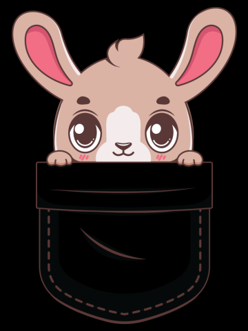 Pocket bunny