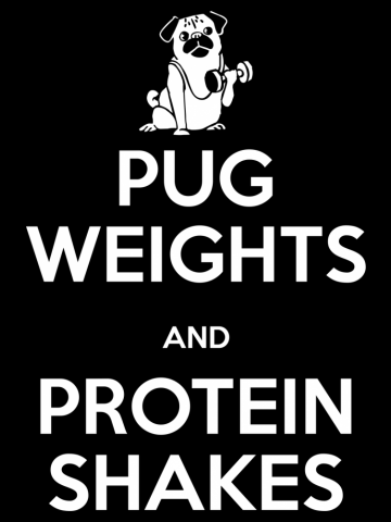 Pug Weights and Protein Shakes
