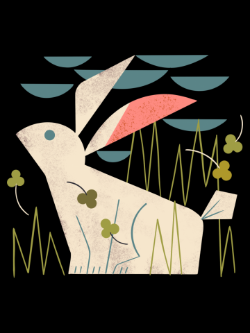 Rabbit And Clover