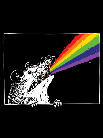 Rainbow Ray Opossum