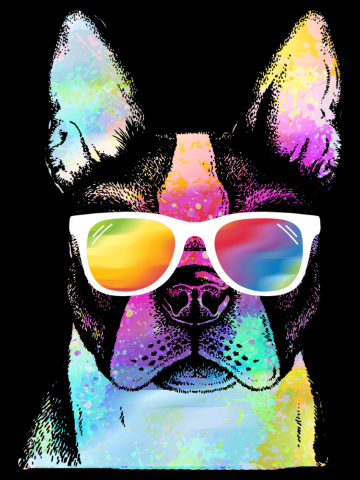 Rainbow summer pug