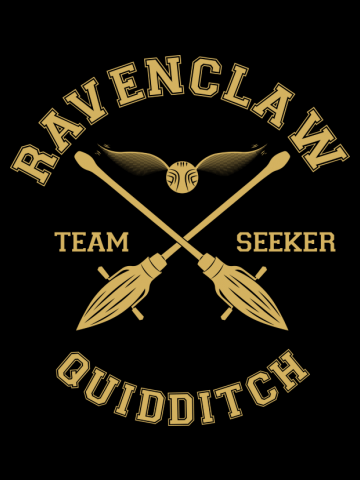 Ravenclaw - Team Seeker