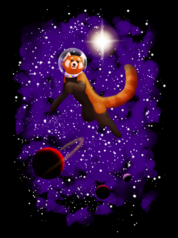 Red Panda in Space