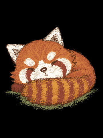 Red panda sleeping