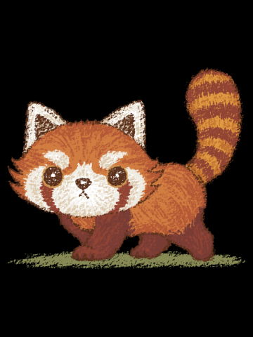Red panda walking