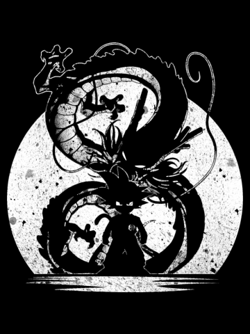 SILHOUETTE OF THE DRAGON BALL 
