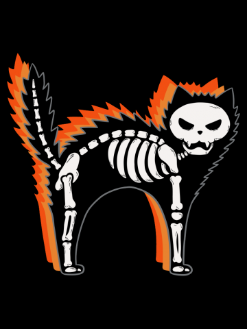 Scary Cat Skeleton