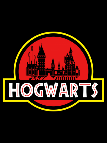 School of witches and wizards