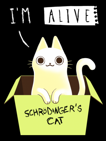 Schrodinger Day - Schrödinger's Cat - Science Physics - Cute Kitty in a Box