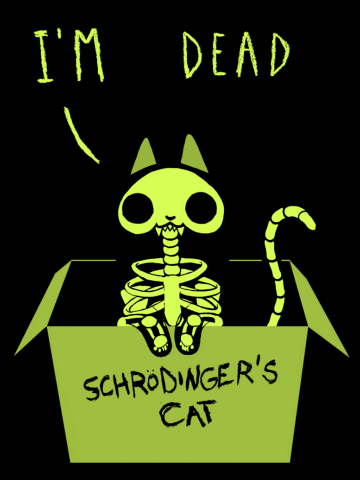 Schrodinger Night - Schrödinger's Cat - Science Physics - Cute Kitty in a Box