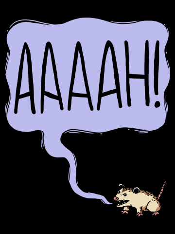 Screaming Opossum