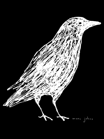 Scribble crow - white