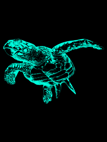 Sea Turtle (Neon)