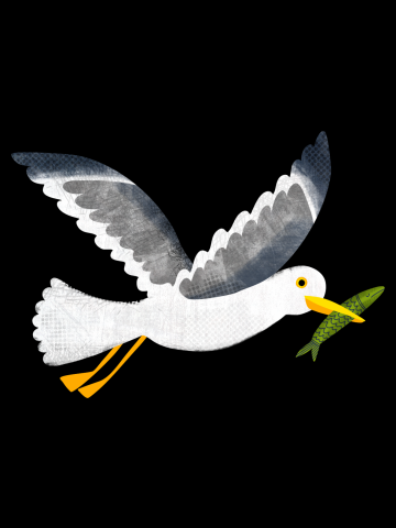 Seagull with a little fish - Cute coastal bird by Cecca Designs