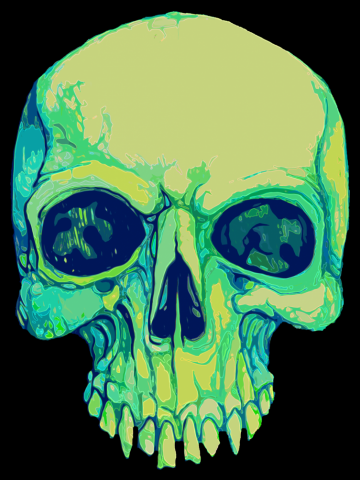 Skull iv (skeletor)