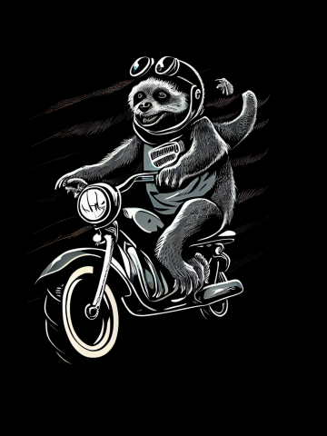 Sloth Rider