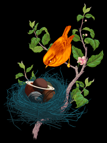 Solar System Nest