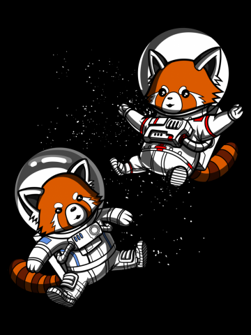 Space Red Panda Bears