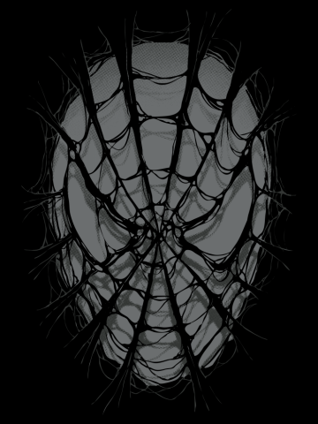 SpiderWeb 