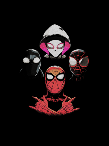 Spider universe
