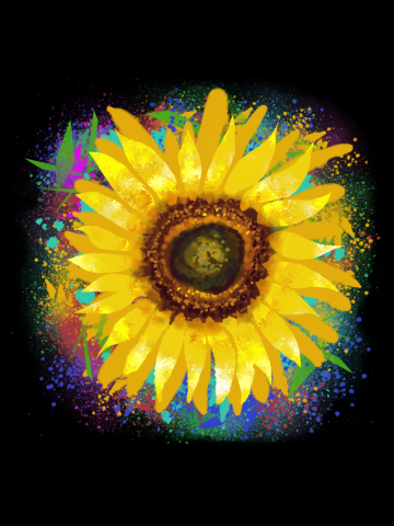 Splash Sun