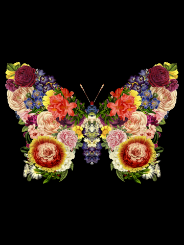 Spring Butterfly Foral