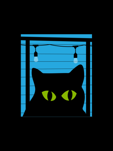 Spy Cat