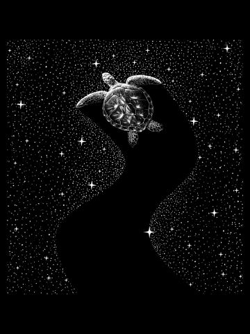 Starry Turtle