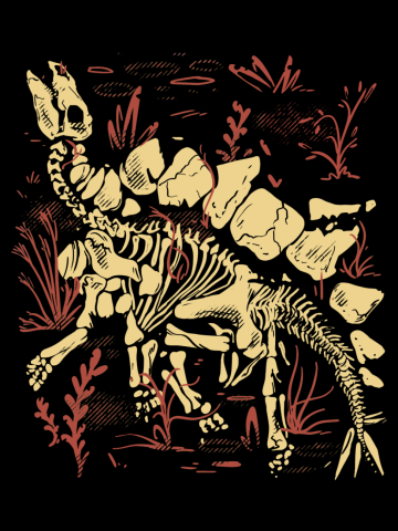 Stegosaurus Fossils