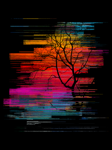 Sunset Fusion (lone tree version)