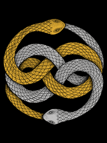 The Auryn (Color Version)