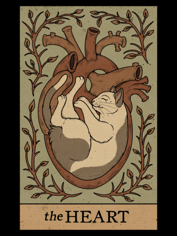 The Heart - Cats Tarot
