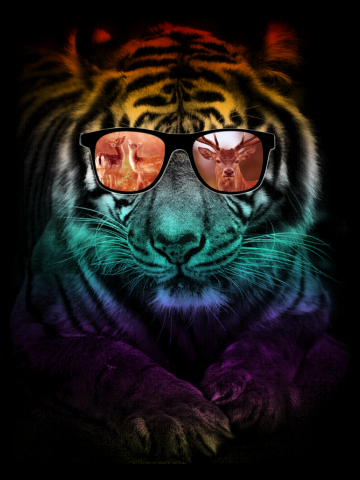 Tiger and Deer