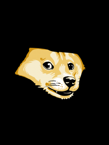 Ceiling Doge