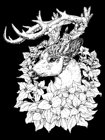 Trillium and Quartz Buck - Black Linework