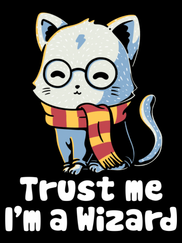 Trust me I'm a wizard