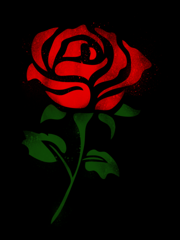 Urban Red Rose