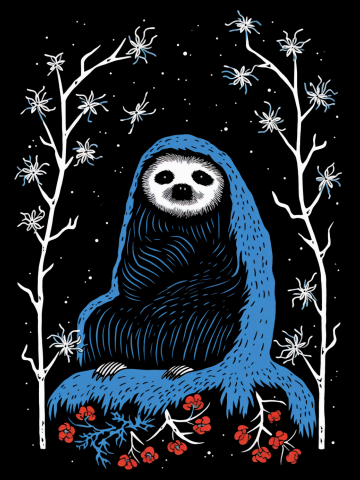 Winter Night Sloth