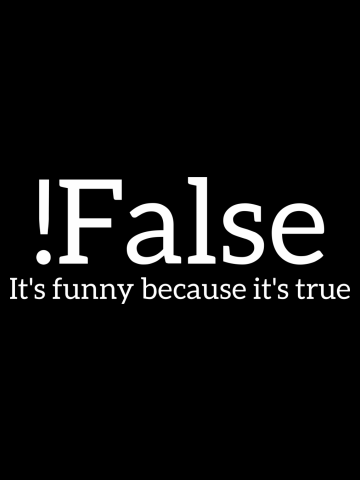 !False it's Funny Because It's True Programmer Quote Geek