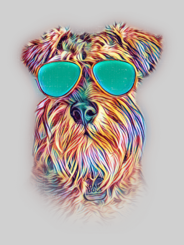 Miniature Schnauzer Neon Dog Sunglasses