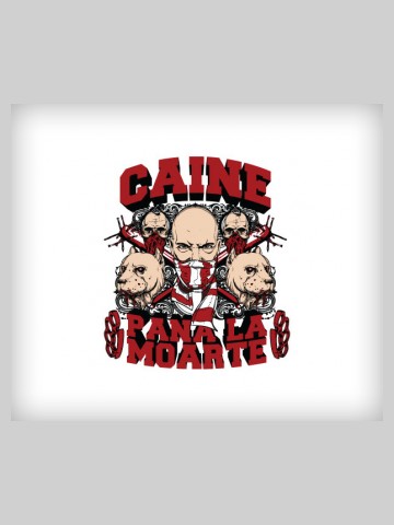 Dinamo - Caini pana la moarte!