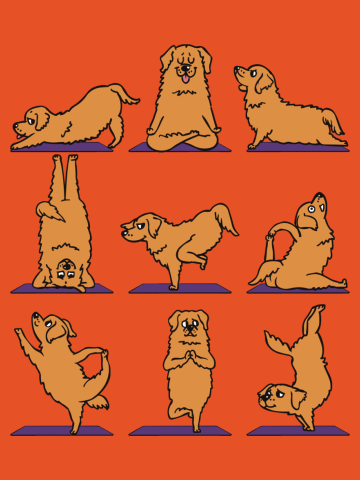 Golden Retriever Yoga