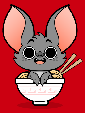 Bat  Soup