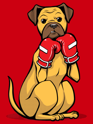 Boxing Boxer