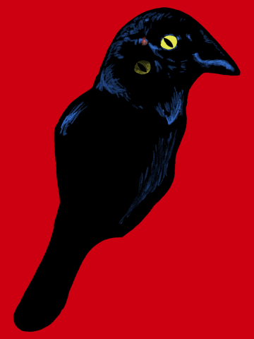 Crow Cat