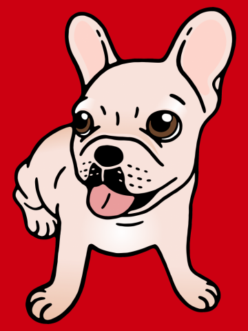 Cute cream Frenchie is ready to play
