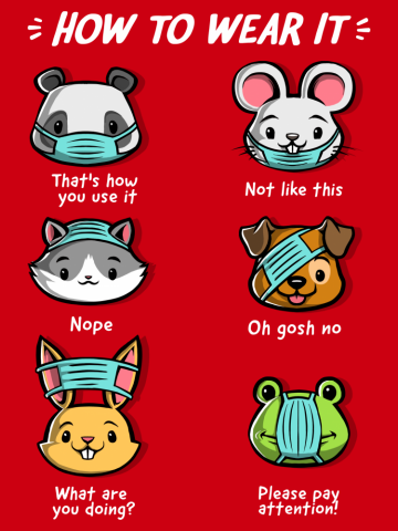 How not to wear a face mask  animals cute funny